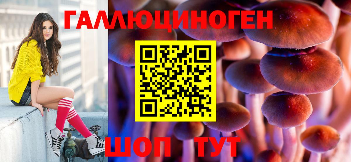 Галлюциногенные грибы мицелий  как найти закладки  Тамбов  Вход с VPN  Псилоцибиновые грибы мицелий 