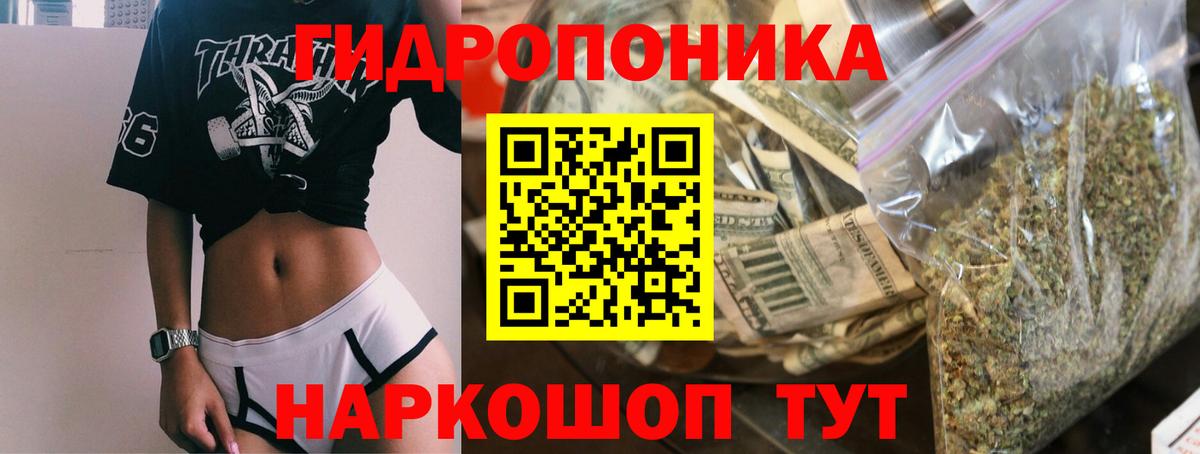 Конопля LSD WEED  Шишки марихуана VHQ  Бошки Шишки SATIVA & INDICA  Вход с VPN  Канабис White Widow  Тамбов 
